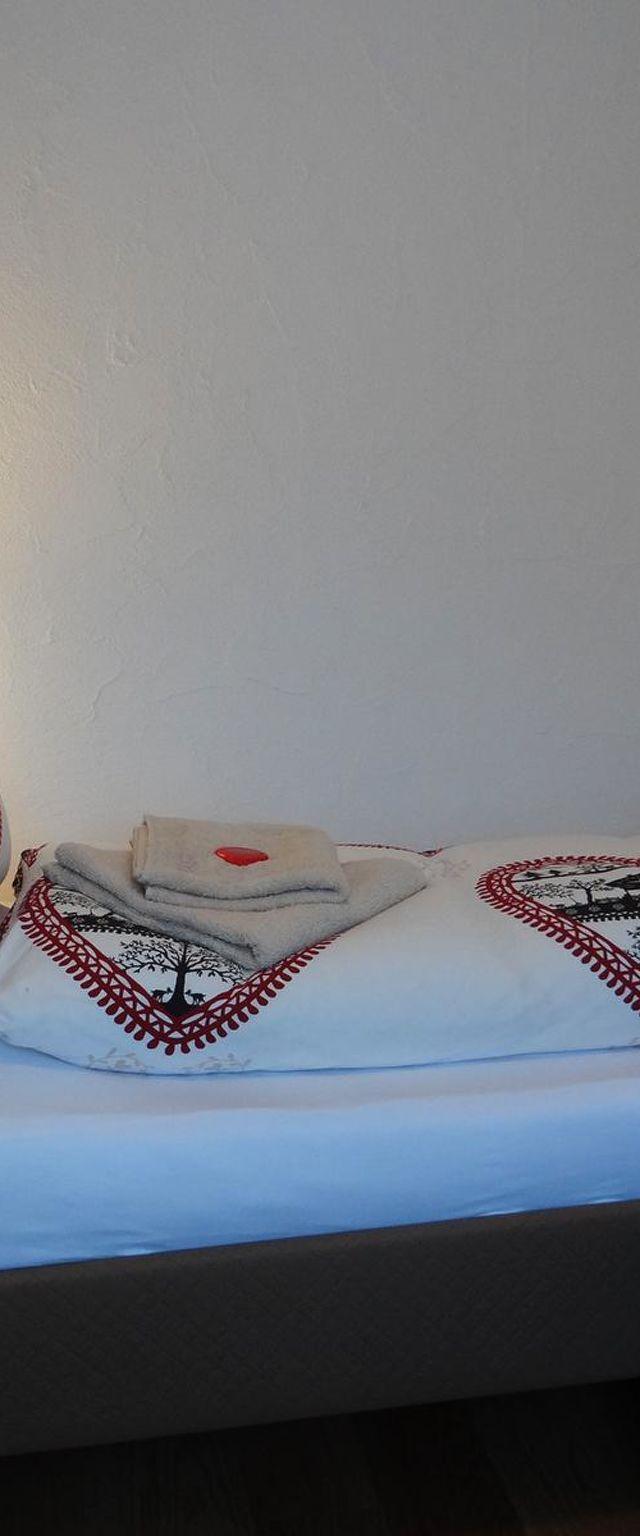 Lejlighed, Engelberg – billede 42