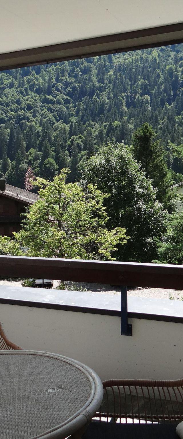 Lejlighed, Engelberg – billede 45