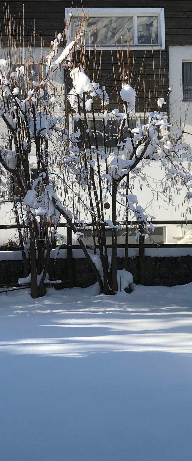 Hostattstrasse 20 Appartement/Fewo 4-Bettwohnung – billede 39