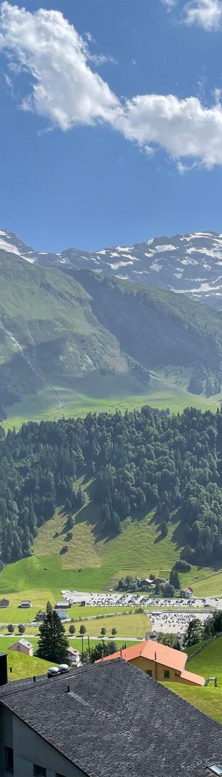 Lejlighed, Engelberg – billede 1