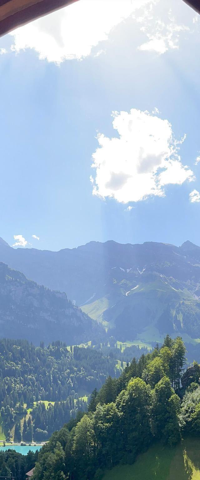 Lejlighed, Engelberg – billede 11