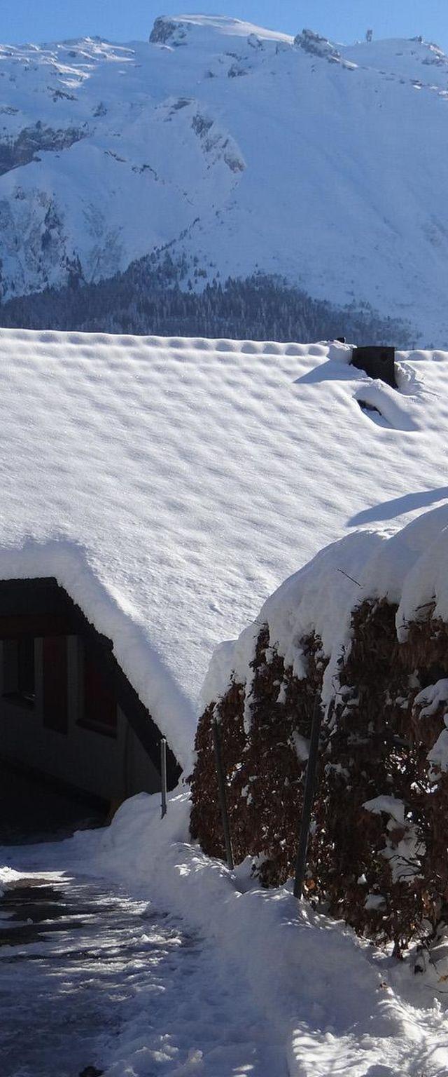 Lejlighed, Engelberg – billede 5