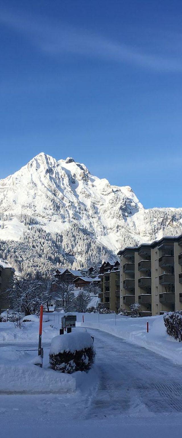 Lejlighed, Engelberg – billede 41