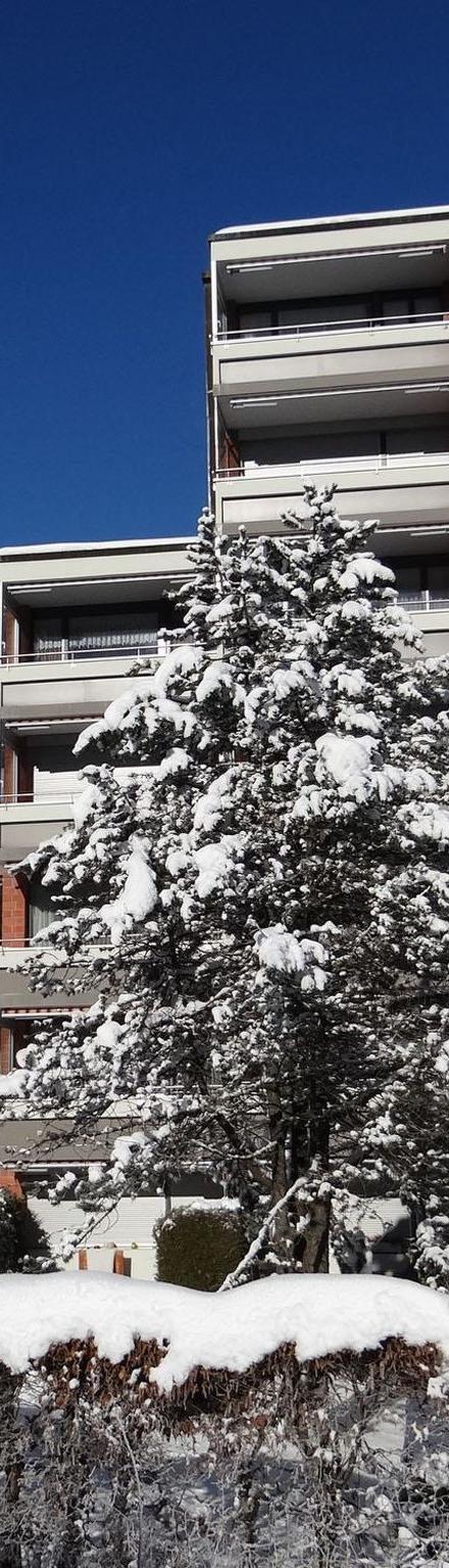 Parkweg 9/602 Appartement/Fewo 2-Bettwohnung – billede 5