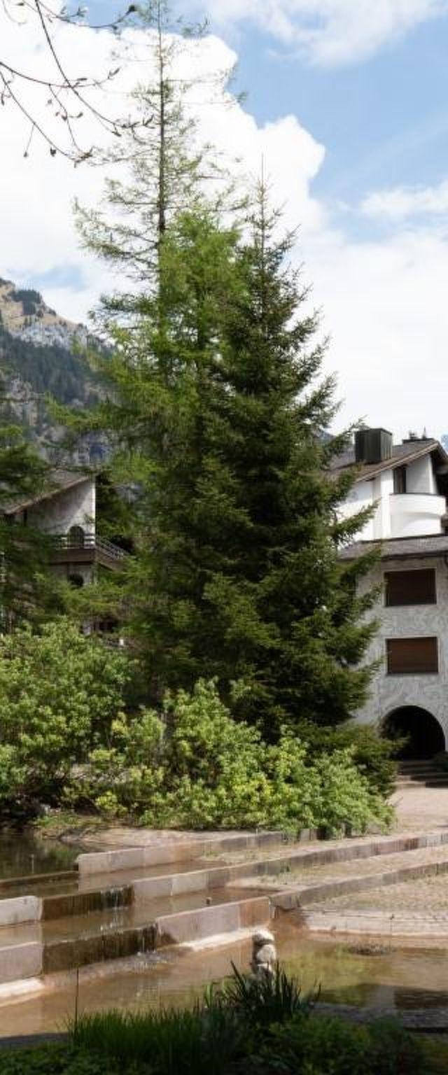 Lejlighed, Engelberg – billede 14