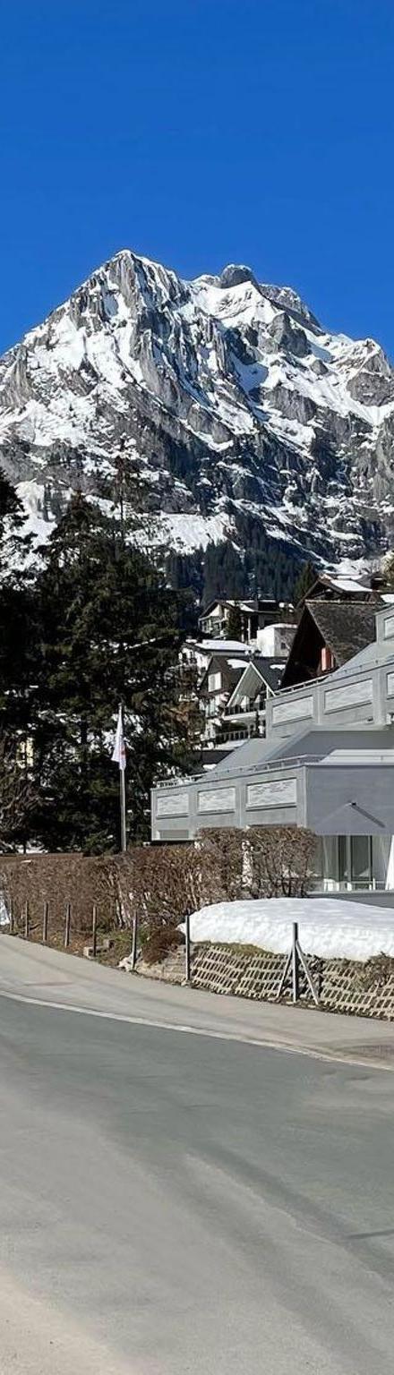 Lejlighed, Engelberg – billede 5