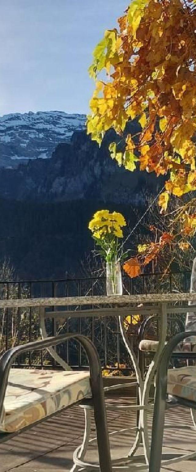 Berg-Traum Engelberg – billede 17
