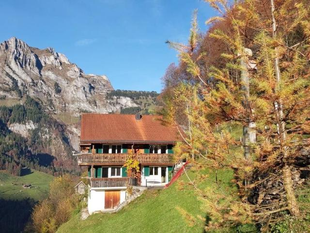 Berg-Traum Engelberg – billede 18