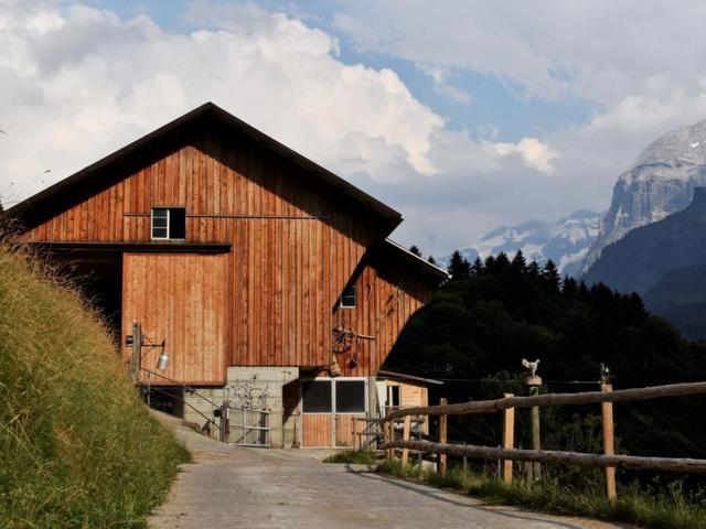 Berg-Traum Engelberg – billede 20