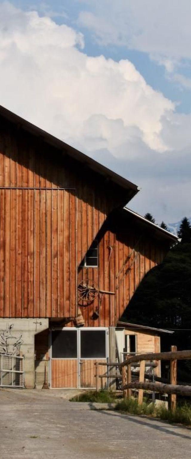 Berg-Traum Engelberg – billede 20