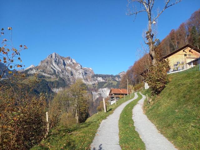 Berg-Traum Engelberg – billede 21