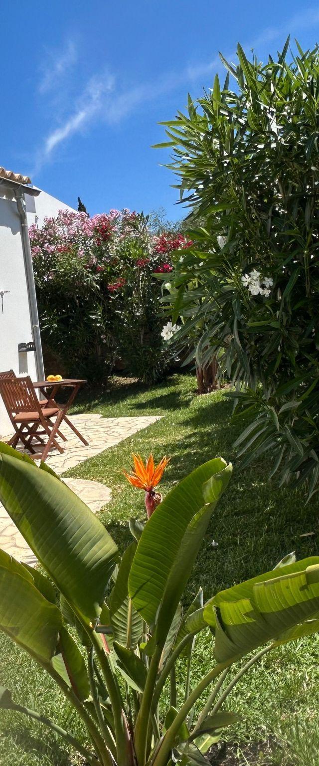 Villa Paradiso – billede 10