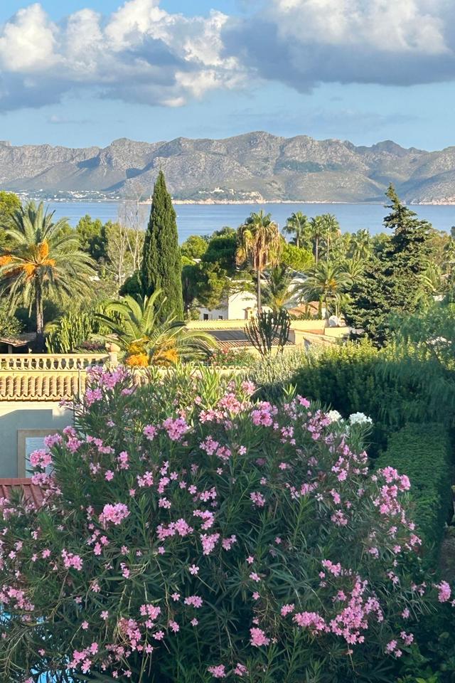 Villa Paradiso – billede 35