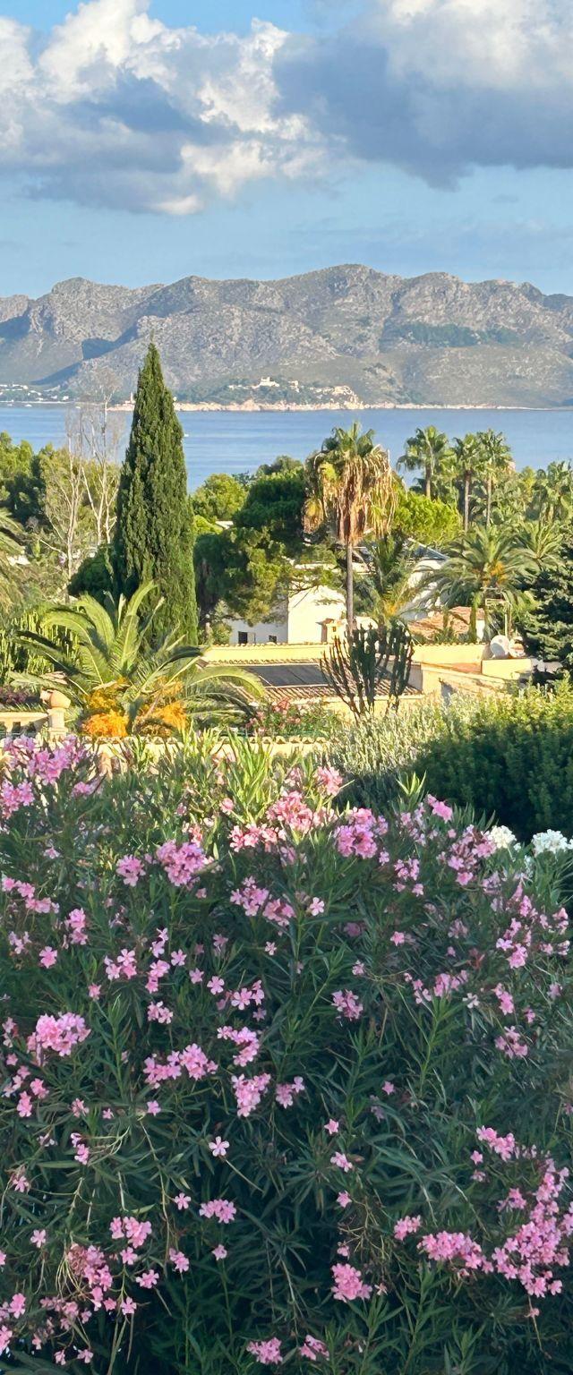 Villa Paradiso – billede 35