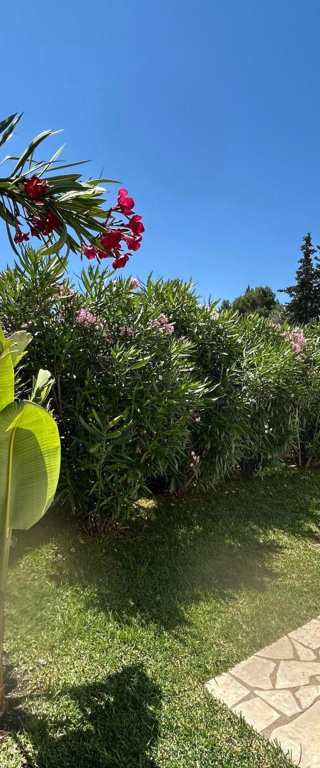 Villa Paradiso – billede 8