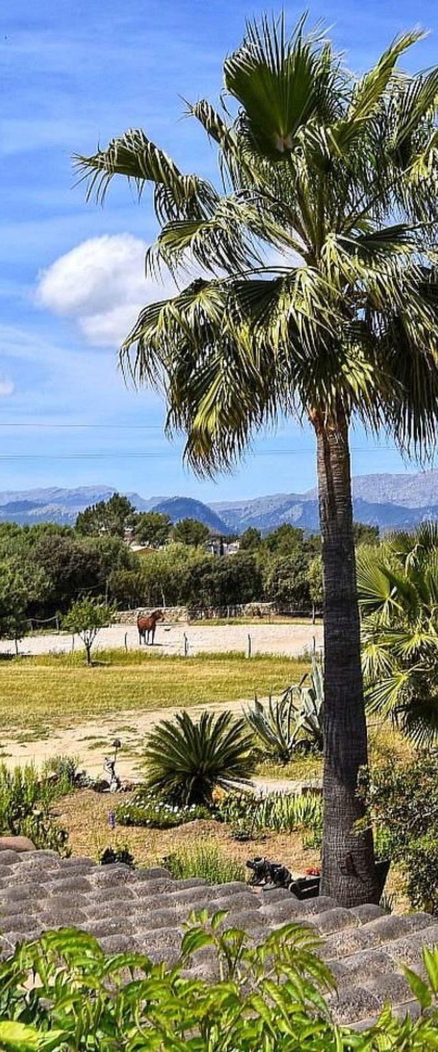 Ländliche Finca "Sa Torre" mit Jacuzzi – billede 12