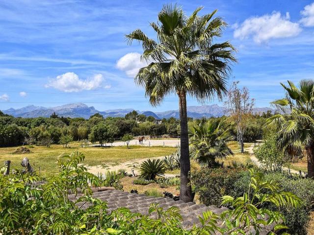 Ländliche Finca "Sa Torre" mit Jacuzzi – billede 12