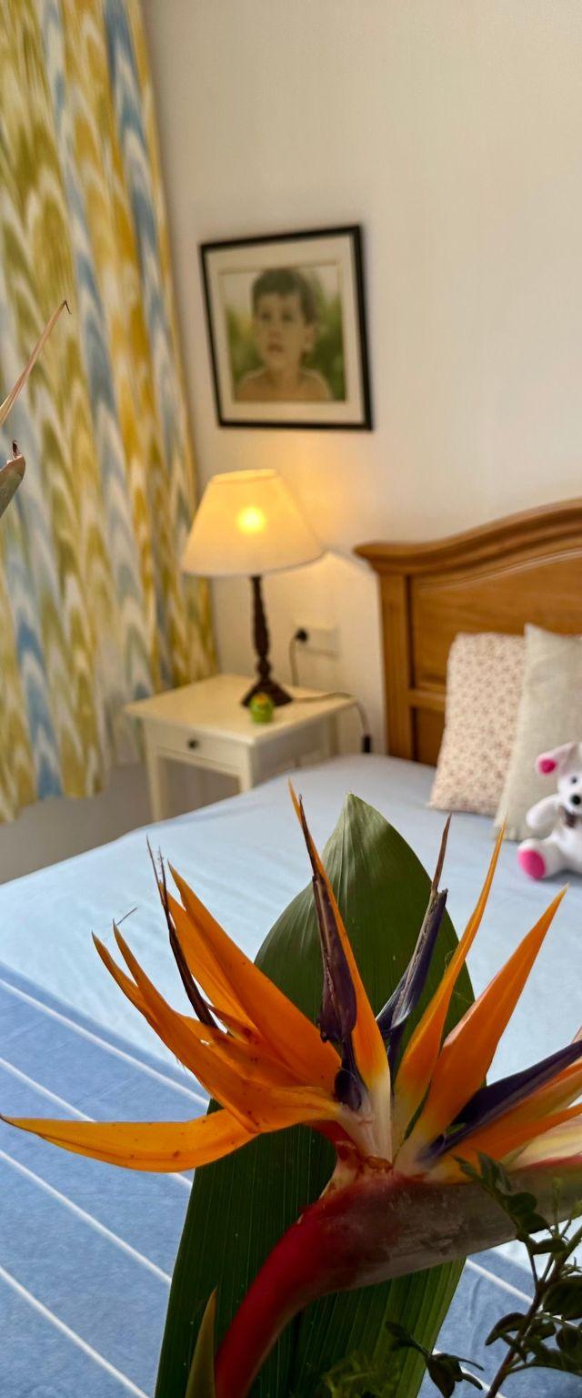 Wohnung Lovely Playa de Alcudia – billede 13