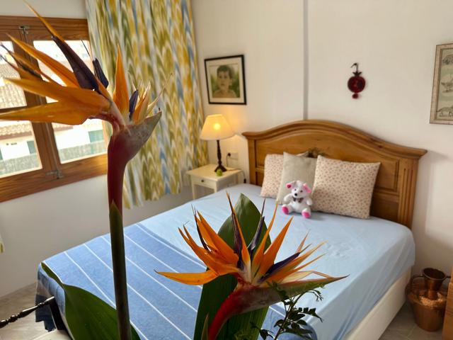 Wohnung Lovely Playa de Alcudia – billede 13