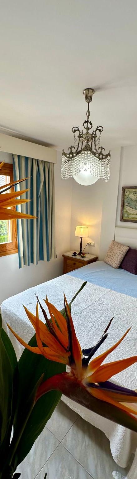Wohnung Lovely Playa de Alcudia – billede 3