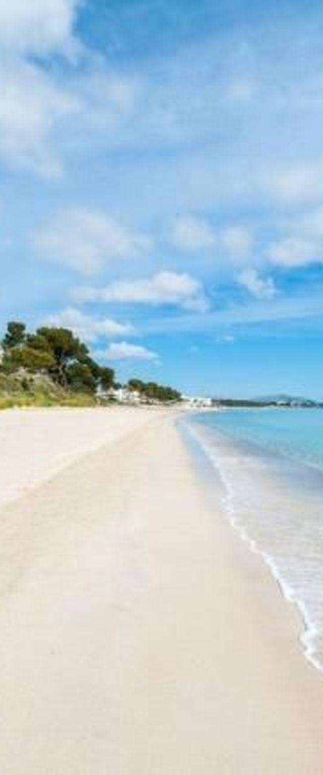 Hus, Alcúdia – billede 28