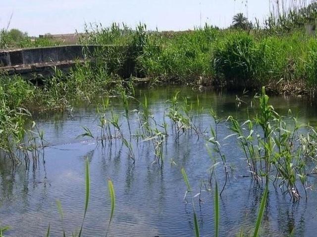 Villa "Estel" mit eigenem Schwimmbad – billede 29