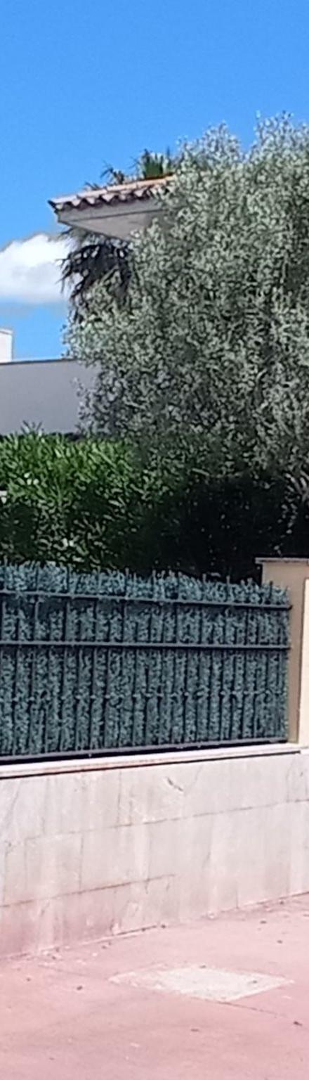 Hus, Alcúdia – billede 5