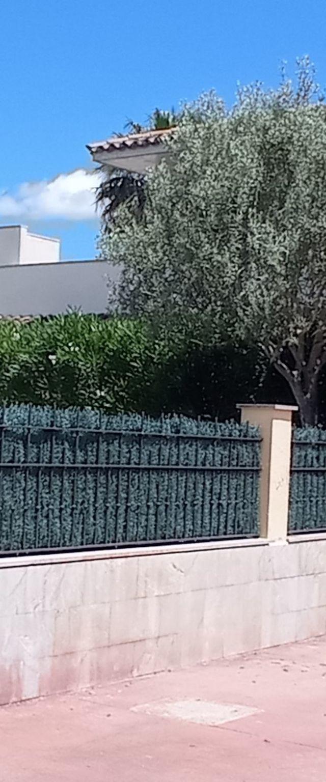 Hus, Alcúdia – billede 5