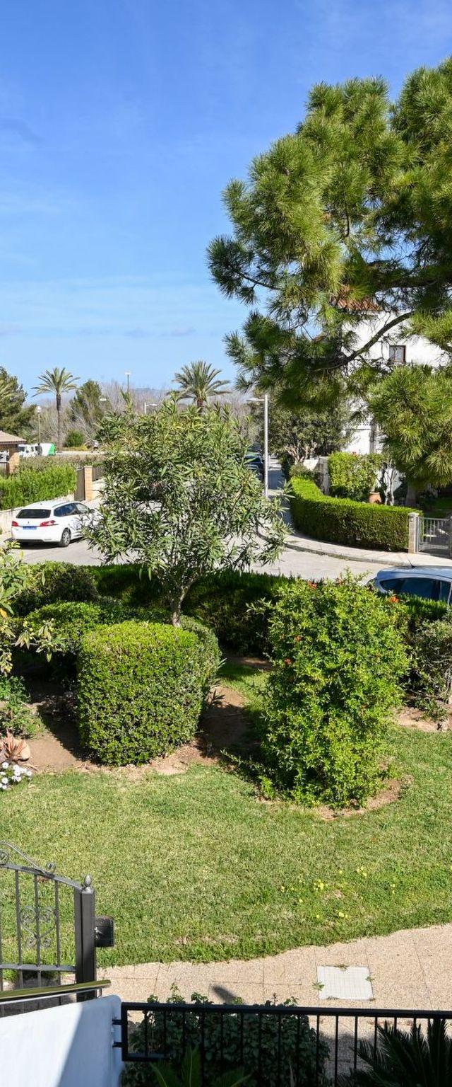 Mar de Plata in Alcúdia nur 5 Minuten vom Strand – billede 17