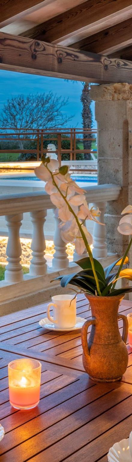 Villa Can Soler – billede 5