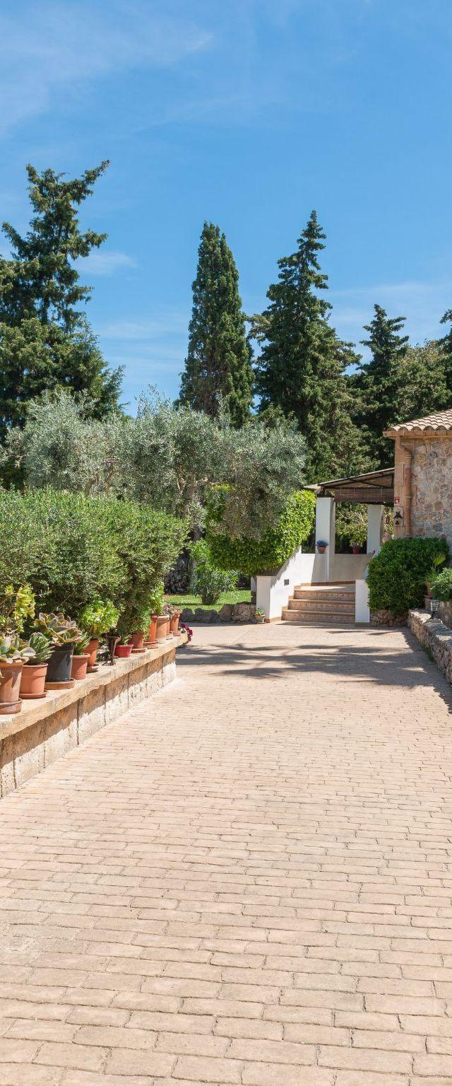 Hus, Alcúdia – billede 20