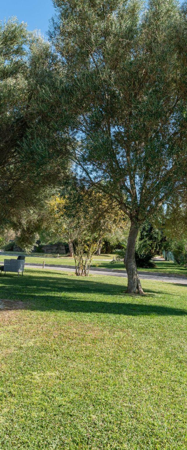 Das Beste von Alcudia, privater Pool, BBQ, einladender Garten – billede 22