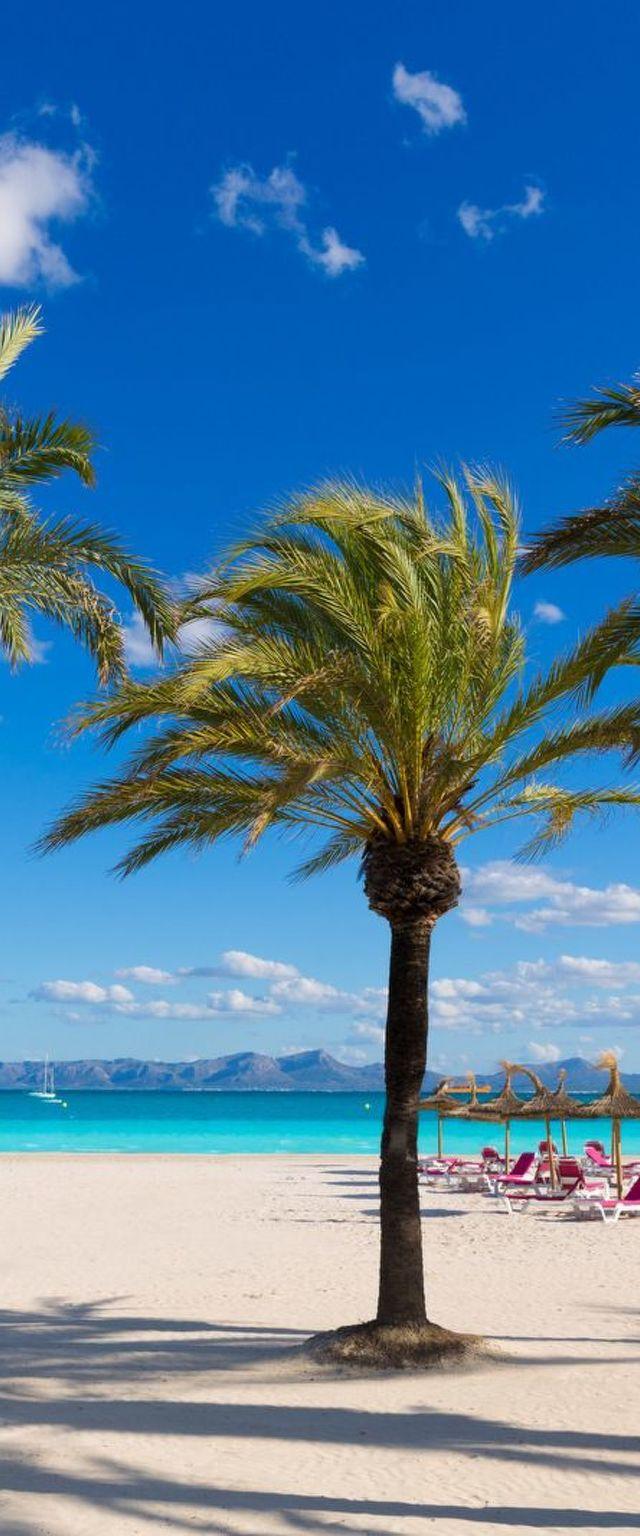 "Voramar Alt" mit Terrasse – billede 32