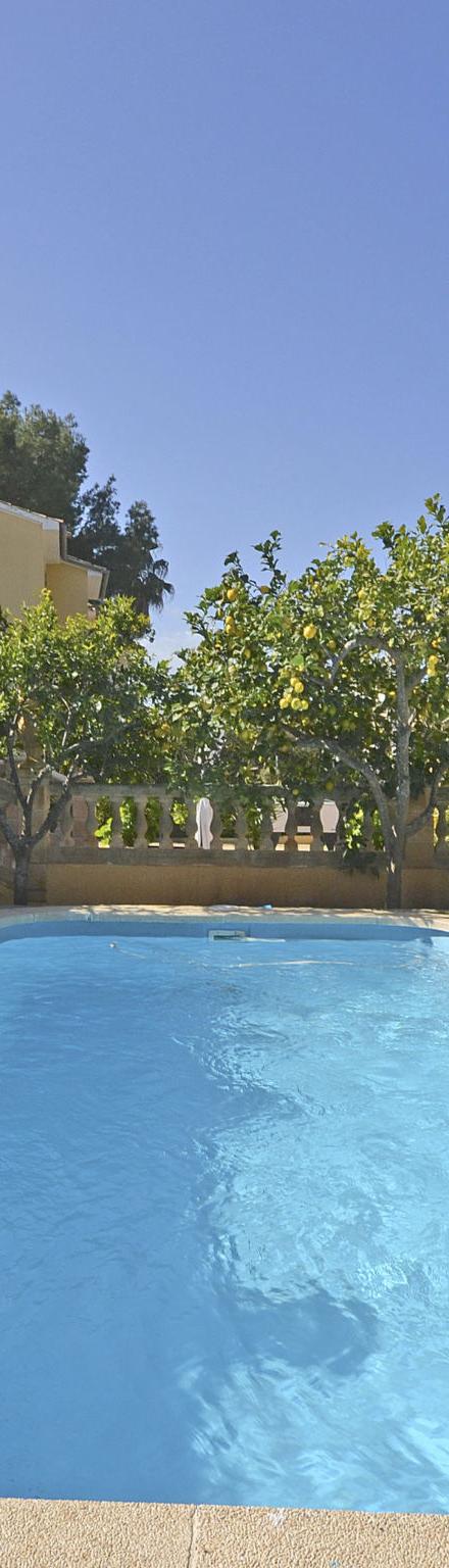 Llimona – billede 4