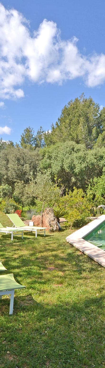 Spiros &quot-Camp Roig&quot- – billede 1