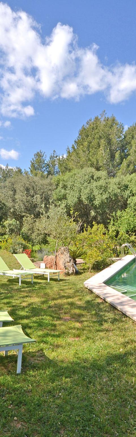 Spiros &quot-Camp Roig&quot- – Alcúdia