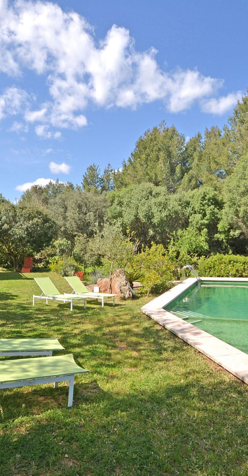 Spiros "-Camp Roig"-