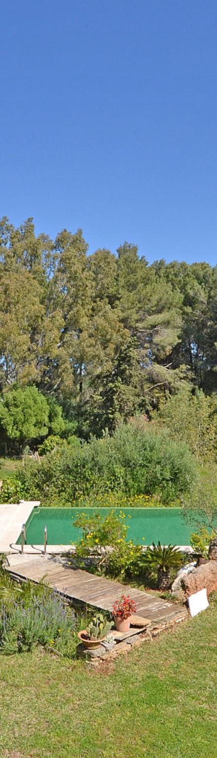 Spiros &quot-Camp Roig&quot- – billede 3