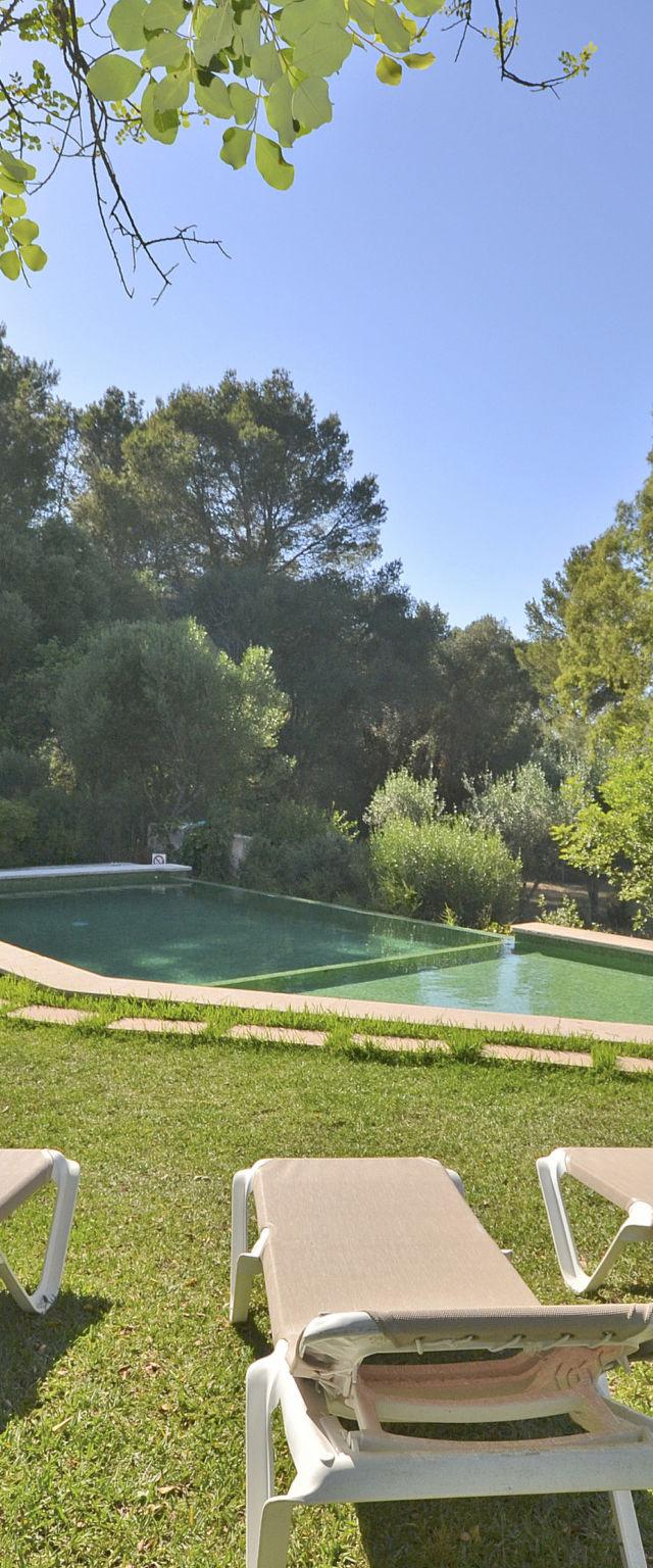 Spiros "-Camp Roig"- – billede 30
