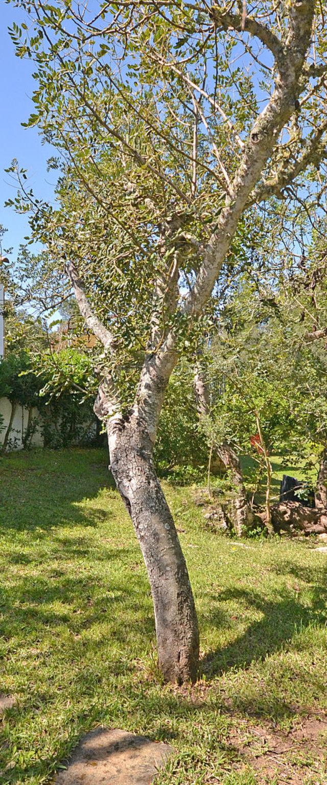 Spiros "-Camp Roig"- – billede 31