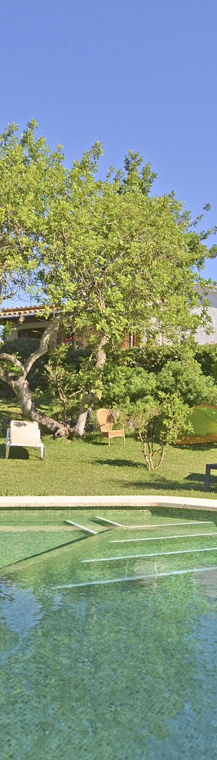 Spiros &quot-Camp Roig&quot- – billede 5