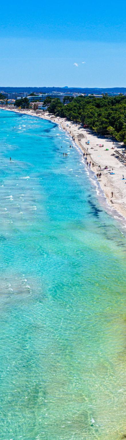 Mallorca - Villa PAM – billede 4