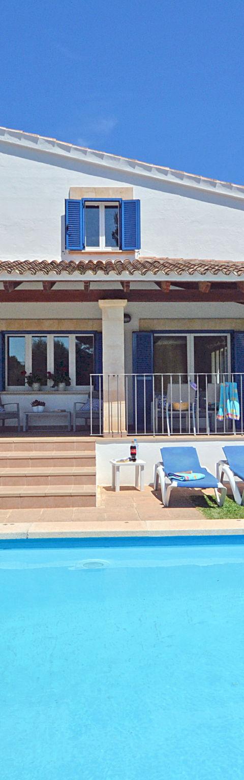 Camamila – Alcúdia