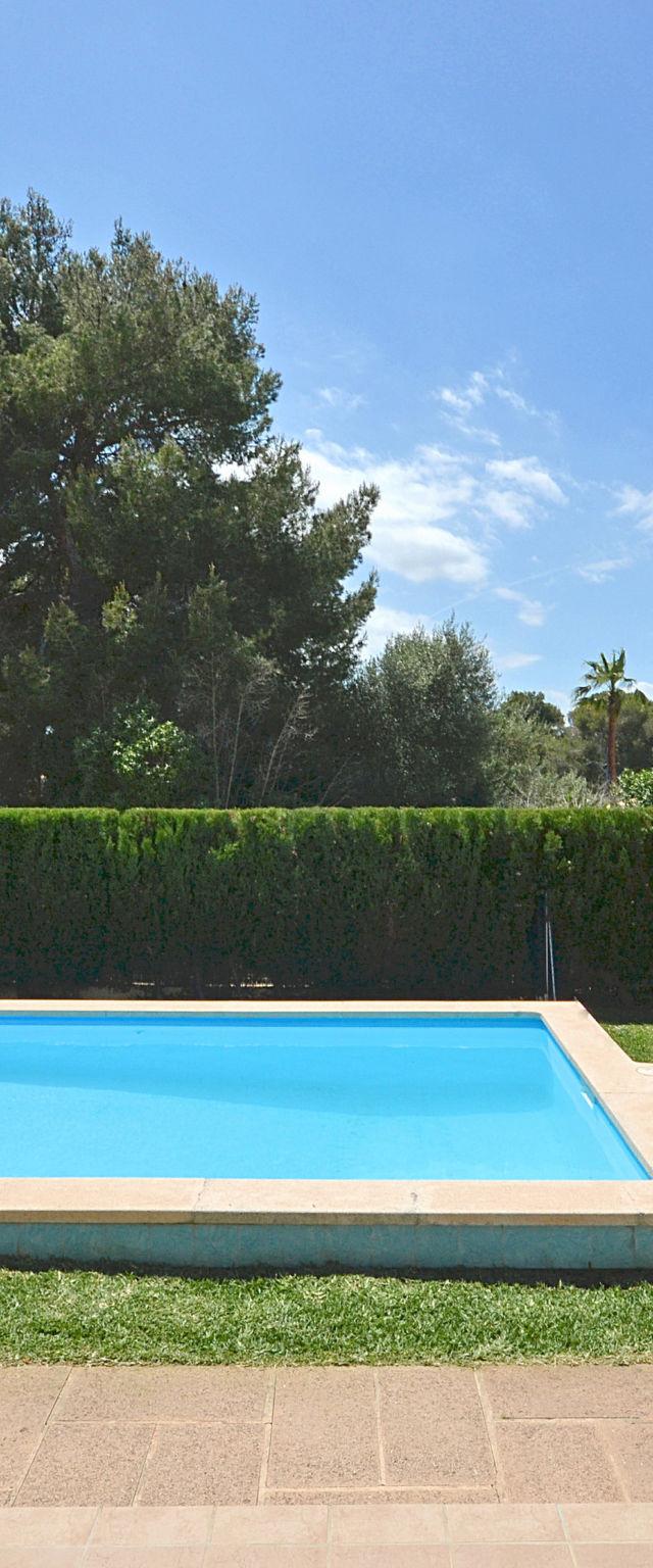 Camamila – billede 4