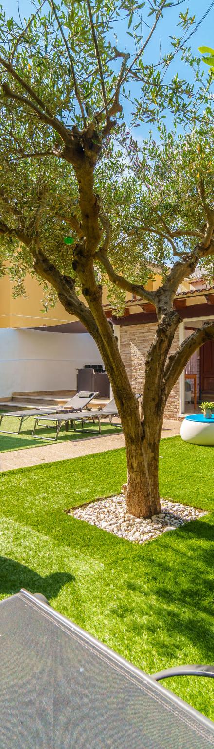 Villa Rosa – billede 1
