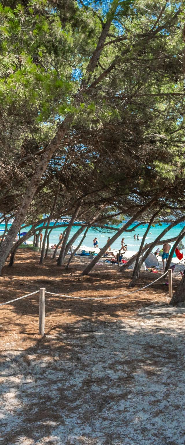 Lago y Mar – billede 29