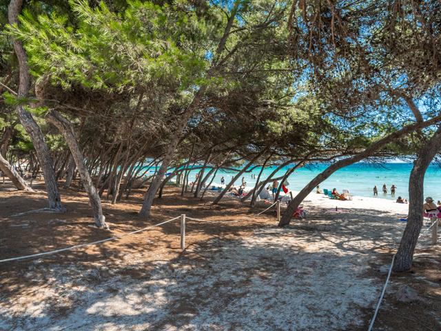 Lago y Mar – billede 29