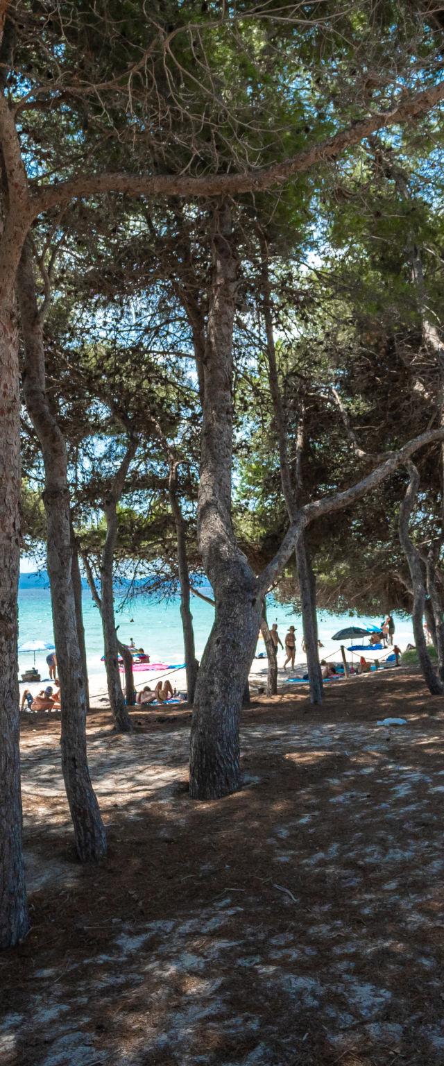 Lago y Mar – billede 30