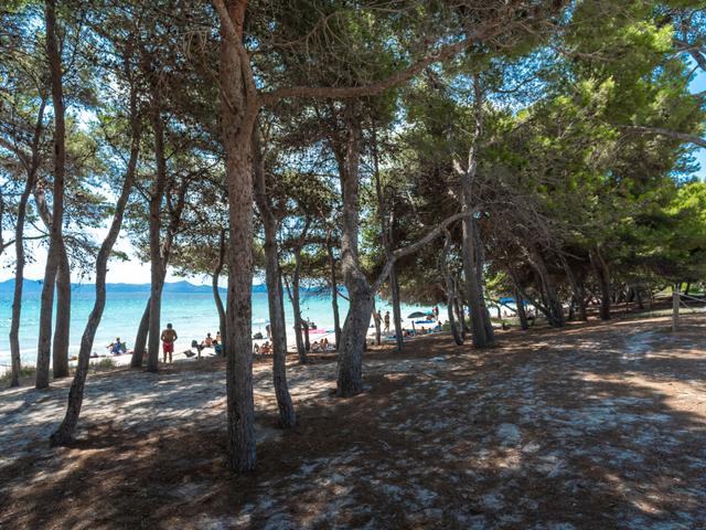 Lago y Mar – billede 30