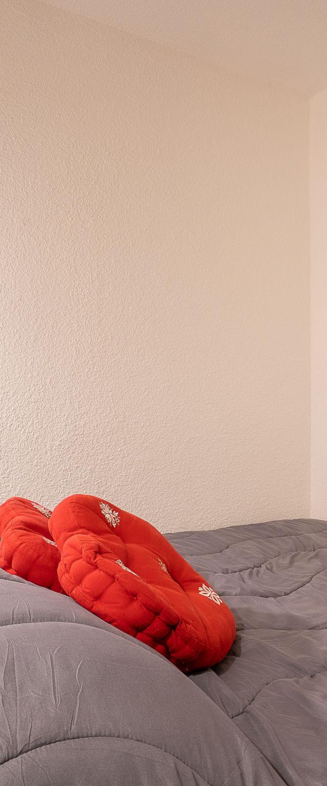 Asters 314 Bâtiment A1 – billede 4